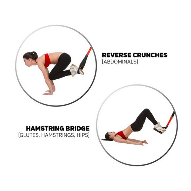 X-Trainer Suspension Trainer