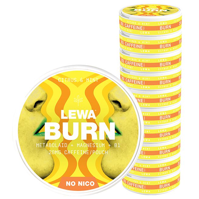 10 x LEWA Functional NoNico BURN Citrus/Mint BURN Citrus/Mint