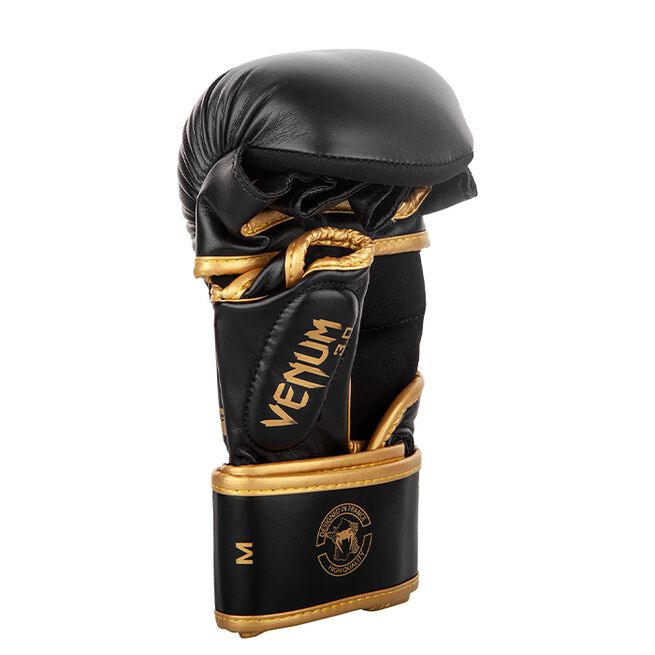 Sparring Gloves Challenger 3.0 Boksehandsker, Sort/Guld