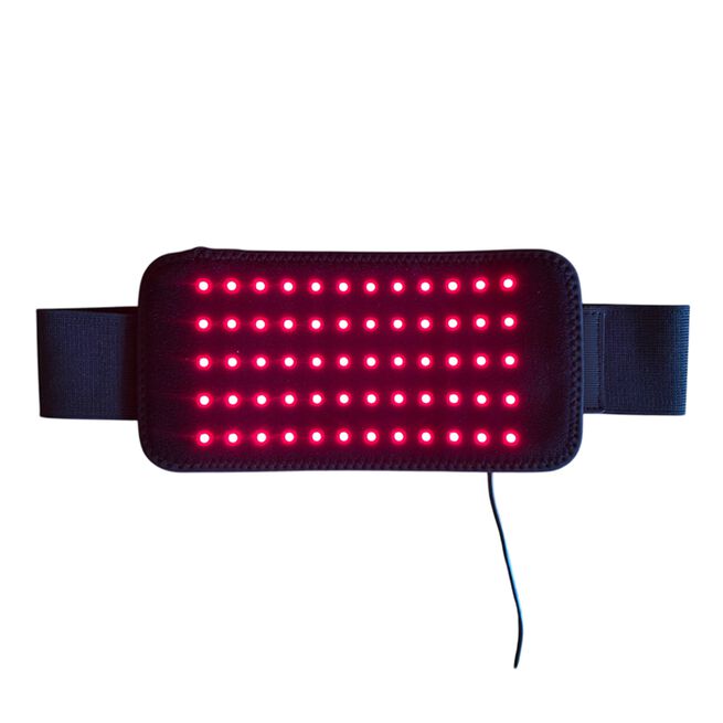 The Red Salamander Rødtlys Bælte