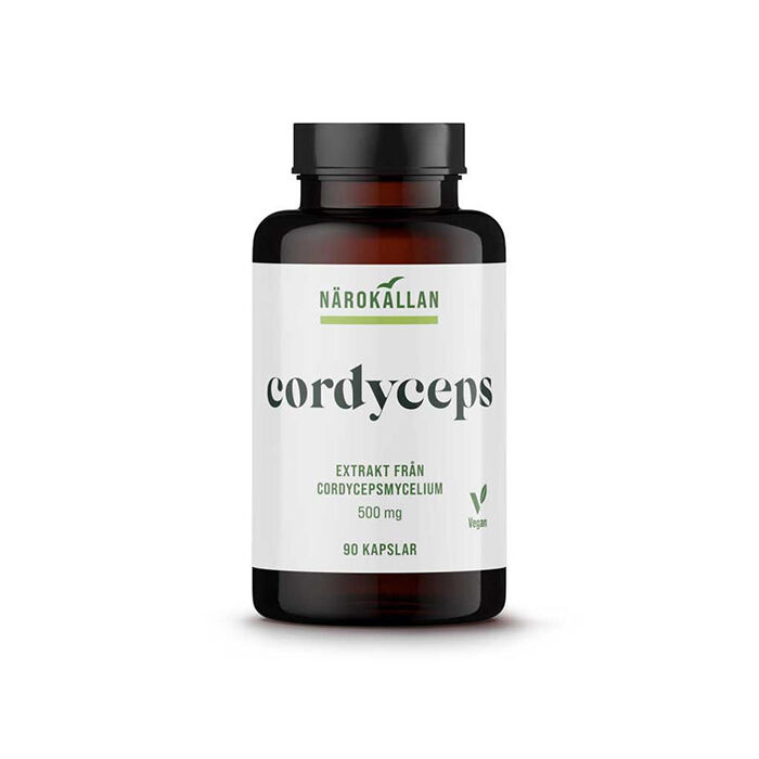 Cordyceps 90 kapslar