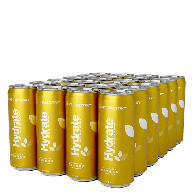 24 x Hydrat kulsyreholdig kokosvand kasse 330 ml Ginger