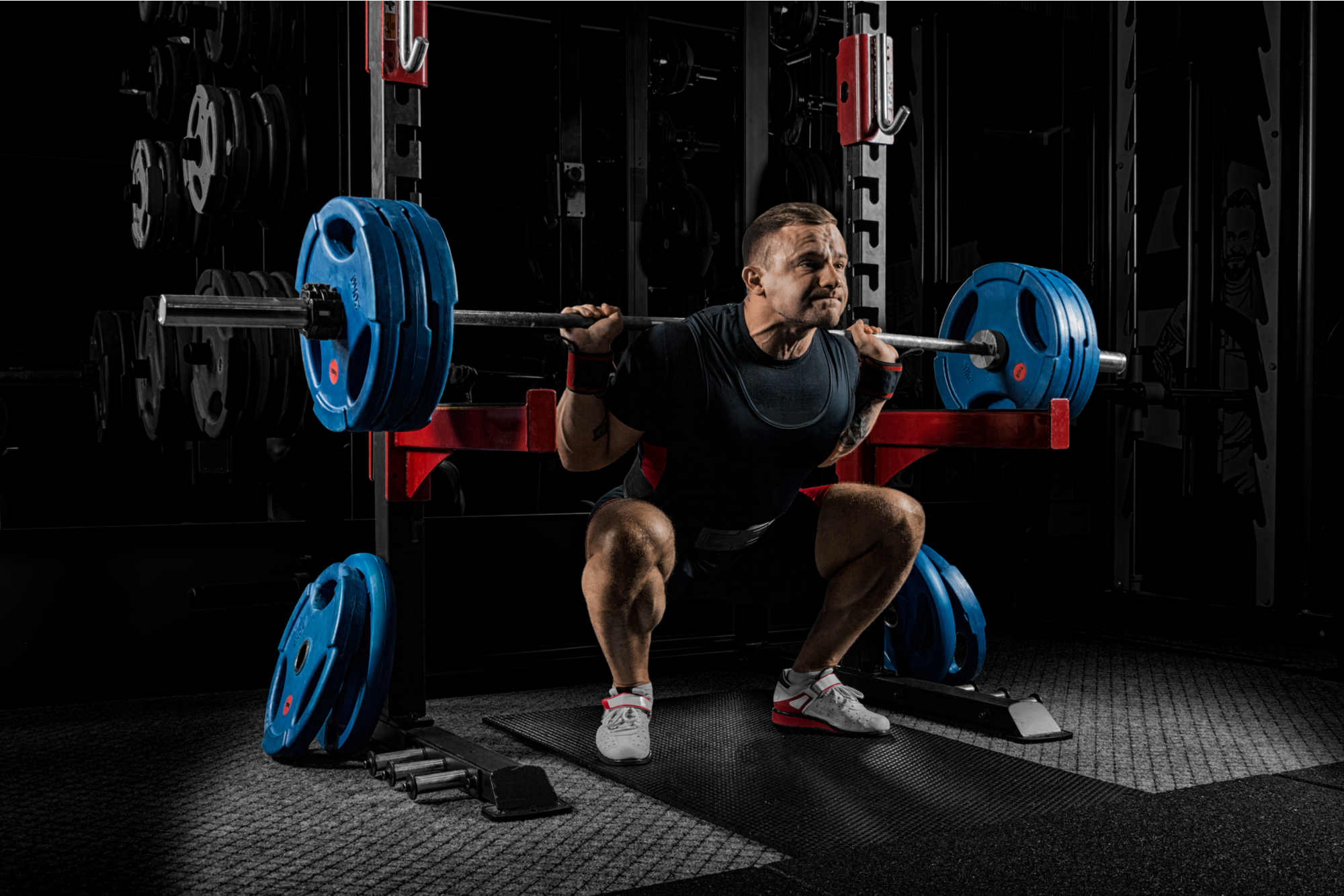 Squat Squat