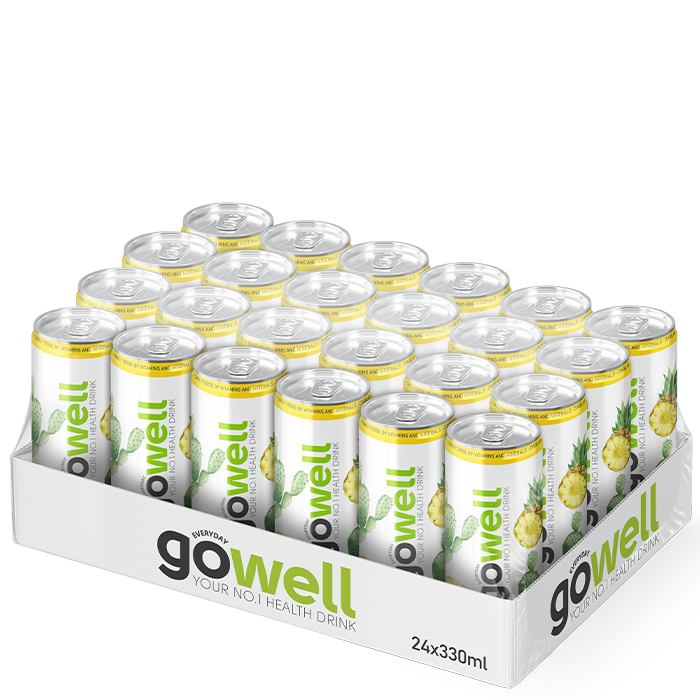 24 x GoWell Functional Drink kasse 33 cl