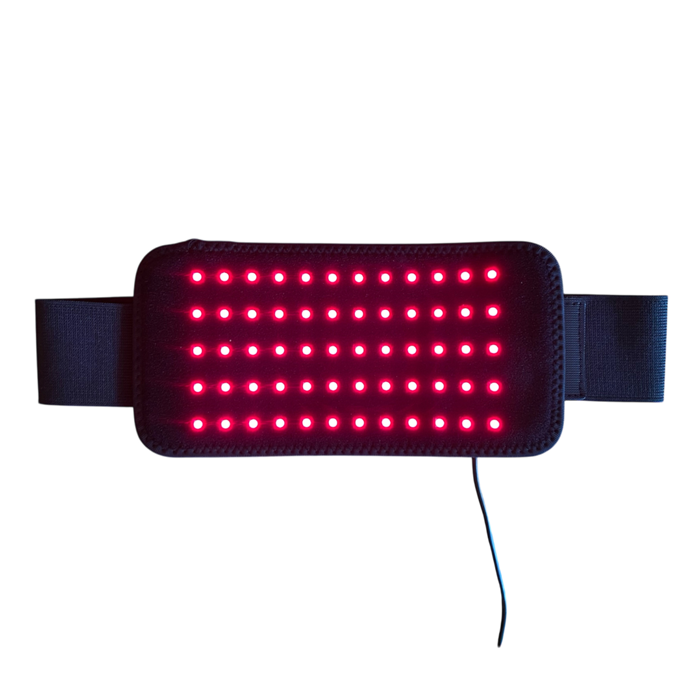 The Red Salamander Rødtlys Bælte