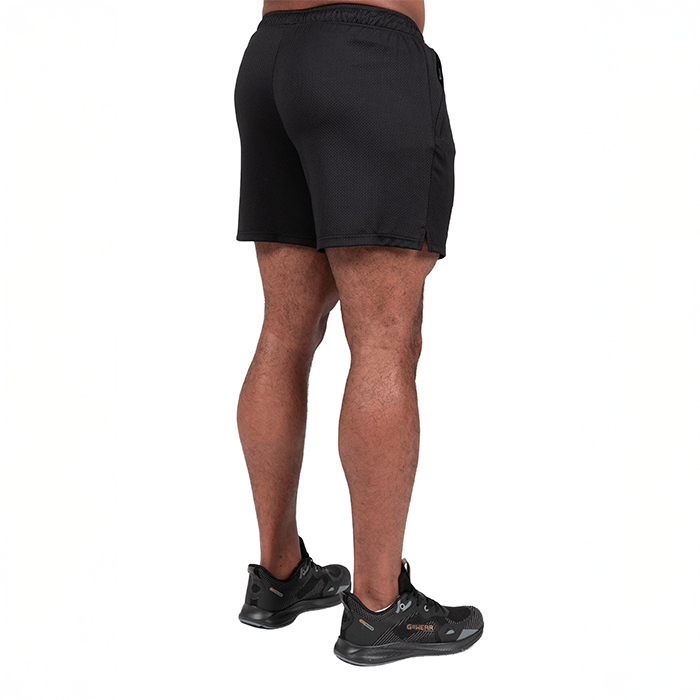 Miles Mesh Shorts Sort