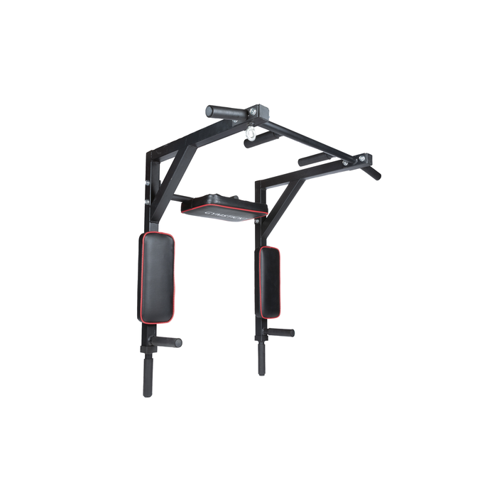 Pull-Up & Dip Stativ