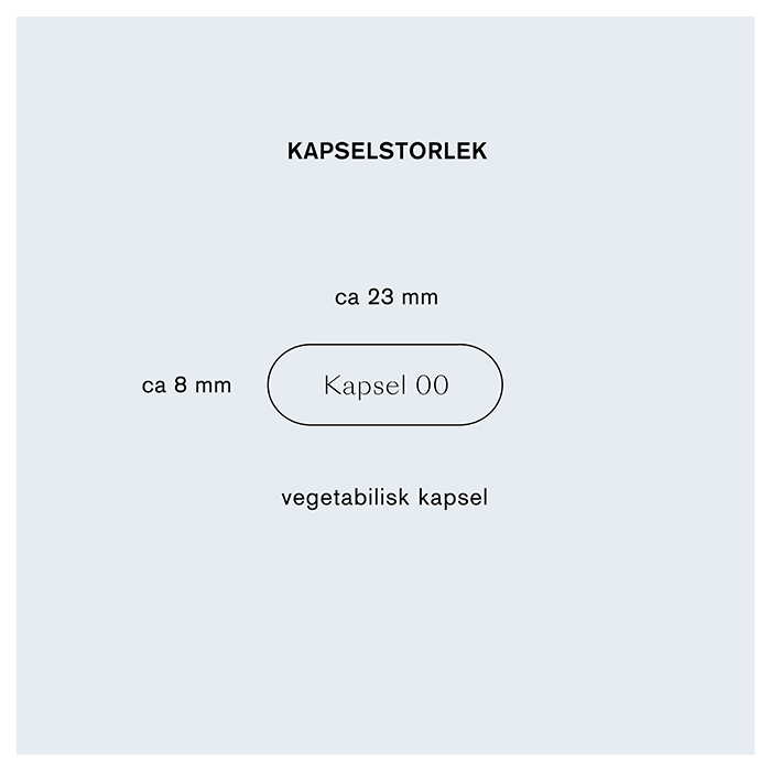 L-lysin 500 mg 90 vegetabilske kapsler